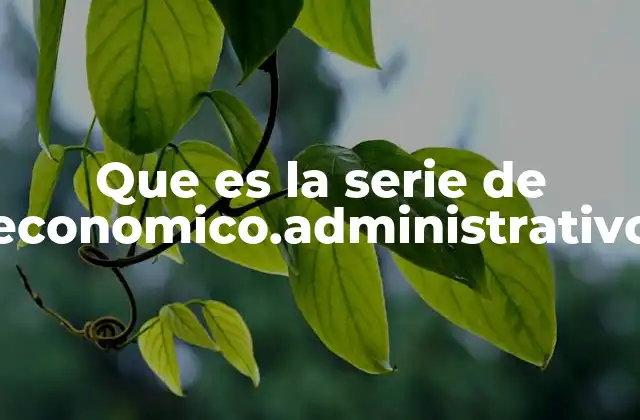 Que es la Serie de Economico.administrativo