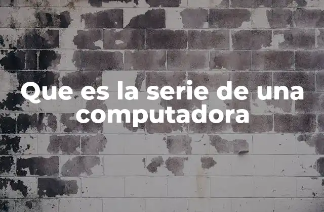 Que es la Serie de una Computadora