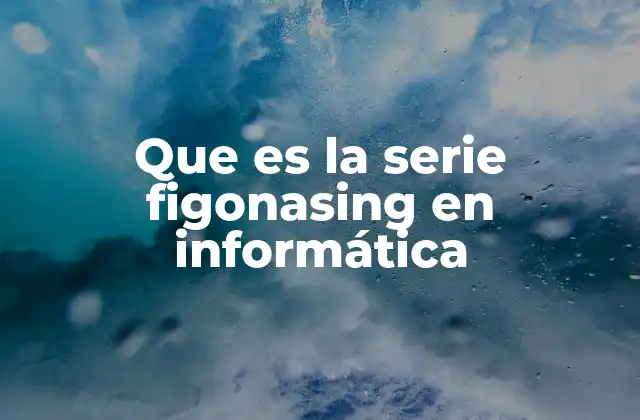 Que es la Serie Figonasing en Informática