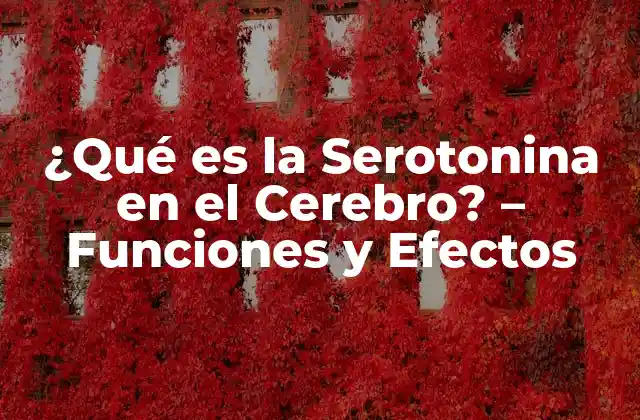 Funciones de la Serotonina en el Cerebro