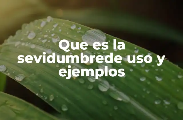 Que es la Sevidumbrede Uso y Ejemplos