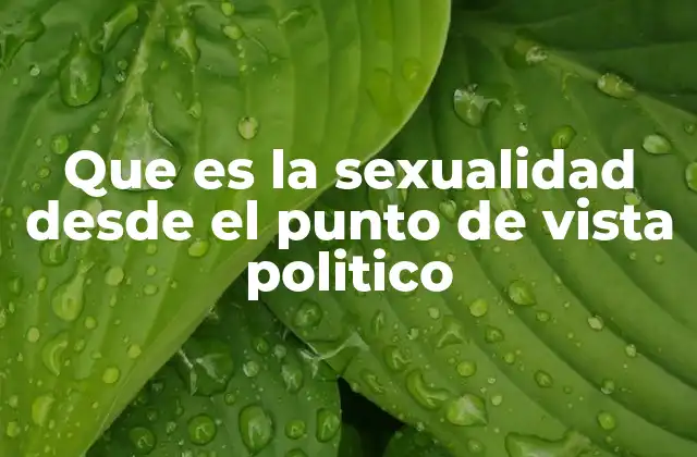 Que es la Sexualidad desde el Punto de Vista Politico