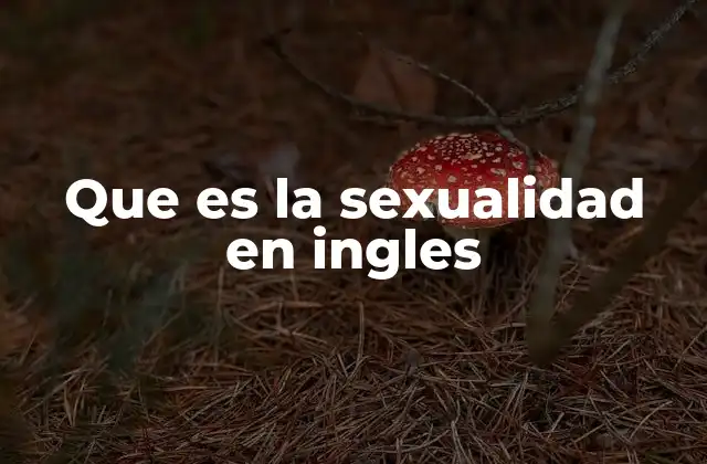 Que es la Sexualidad en Ingles
