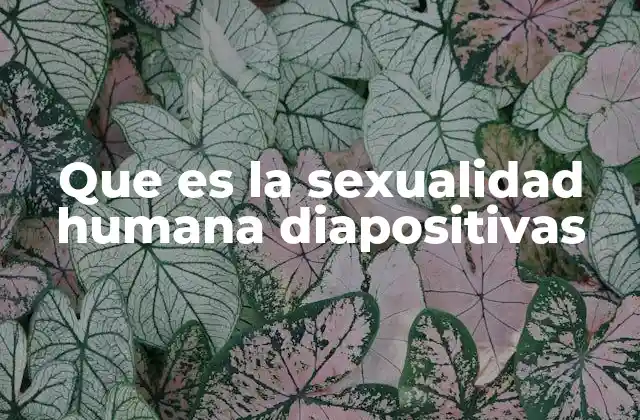 Que es la Sexualidad Humana Diapositivas