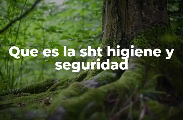 Que es la Sht Higiene y Seguridad