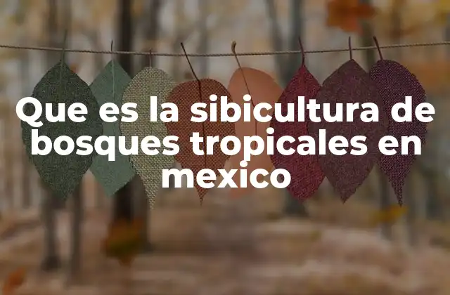 Que es la Sibicultura de Bosques Tropicales en Mexico