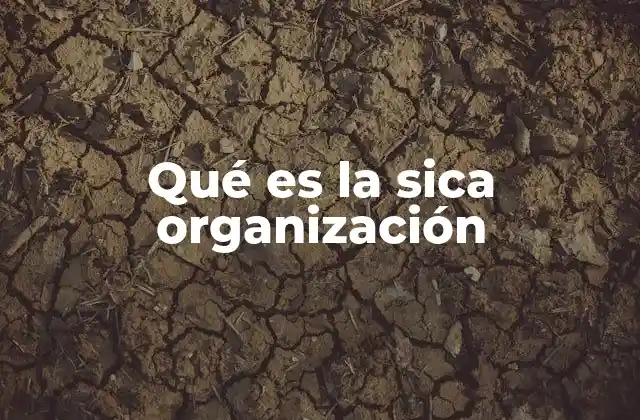 Qué es la Sica Organización