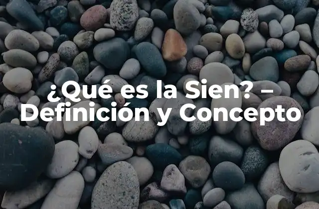 ¿qué es la Sien? – Definición y Concepto