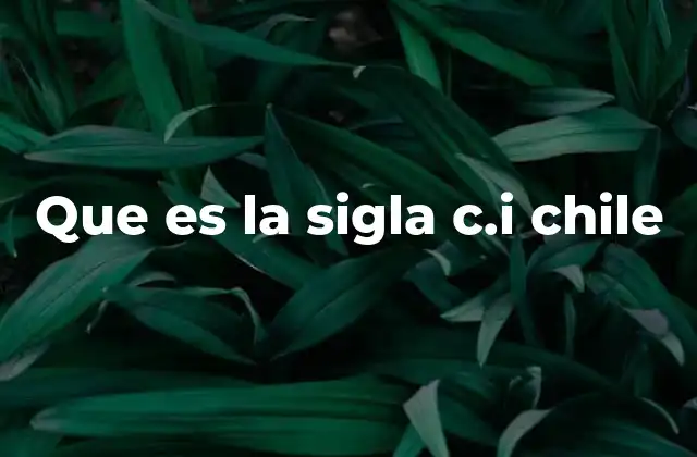 Que es la Sigla C.i Chile