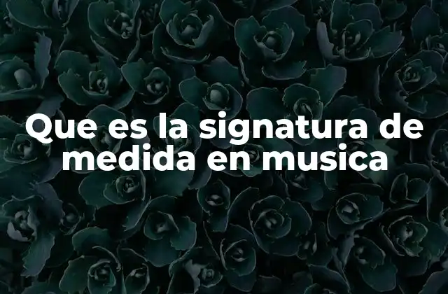 Que es la Signatura de Medida en Musica