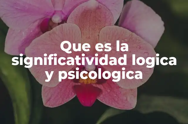 Que es la Significatividad Logica y Psicologica