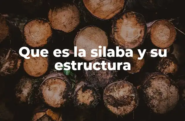 Que es la Silaba y Su Estructura