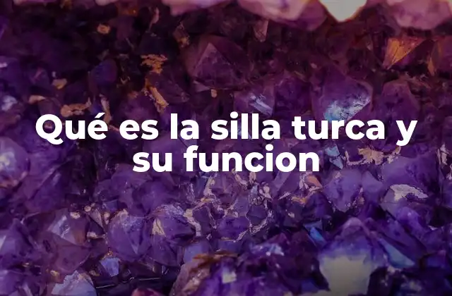 Qué es la Silla Turca y Su Funcion