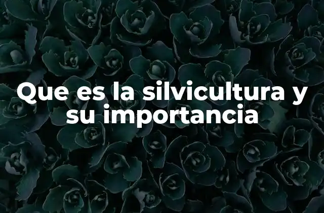 El papel de la silvicultura en el desarrollo sostenible