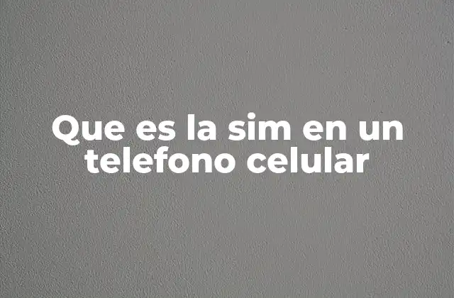 Que es la Sim en un Telefono Celular