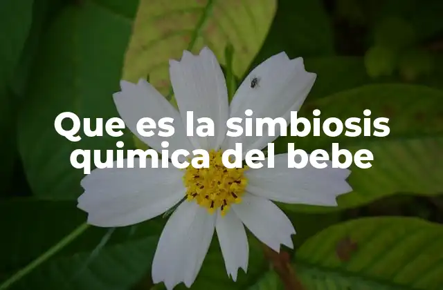Que es la Simbiosis Quimica Del Bebe