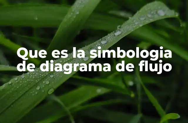 Que es la Simbologia de Diagrama de Flujo