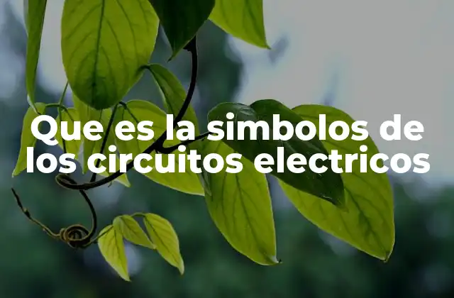 Que es la Simbolos de los Circuitos Electricos