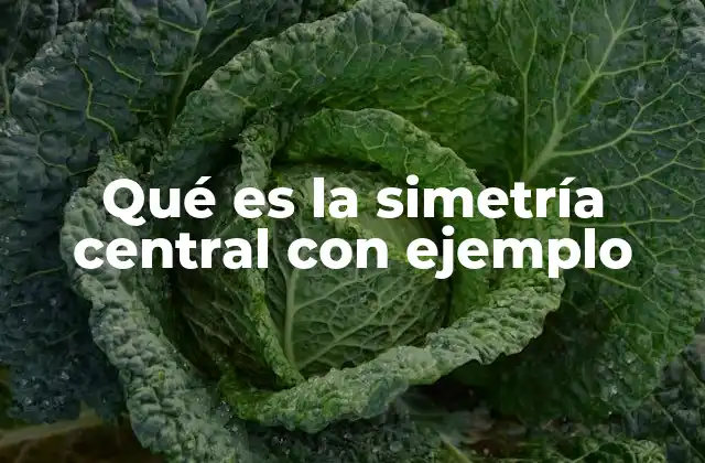 Qué es la Simetría Central con Ejemplo