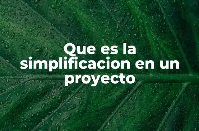 Que es la Simplificacion en un Proyecto