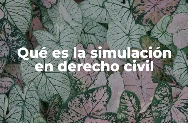 Qué es la Simulación en Derecho Civil