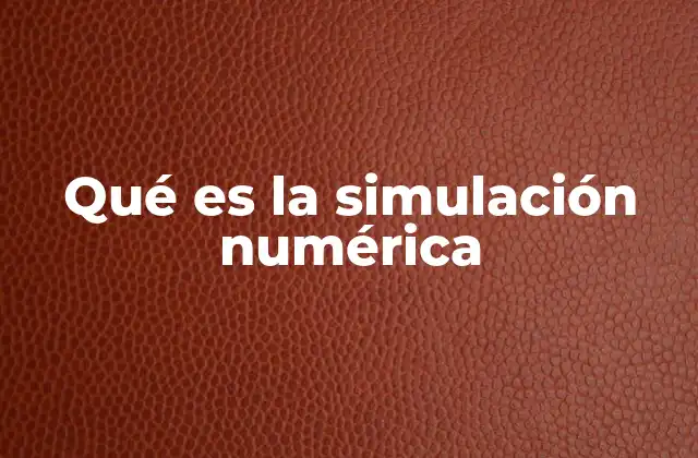 Qué es la Simulación Numérica