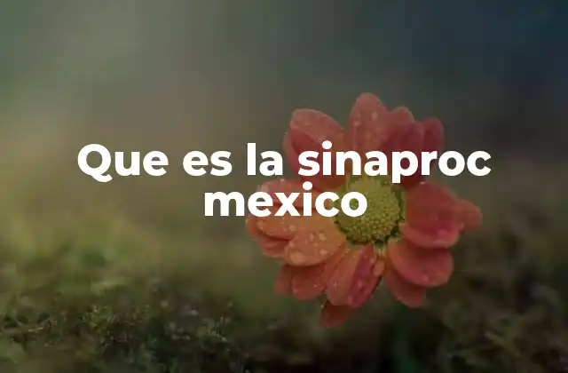 La protección financiera y el papel de las instituciones reguladoras