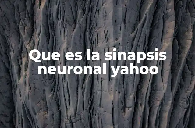 Que es la Sinapsis Neuronal Yahoo
