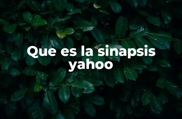 Que es la Sinapsis Yahoo