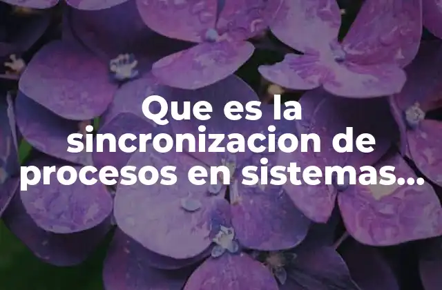 Que es la Sincronizacion de Procesos en Sistemas Operativos