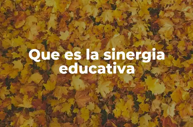 Que es la Sinergia Educativa