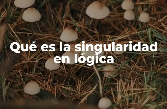 Qué es la Singularidad en Lógica