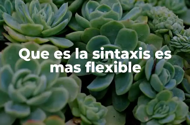 Que es la Sintaxis es mas Flexible 2 La importancia de la sintaxis flexible en la comunicación