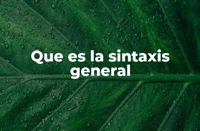 Que es la Sintaxis General