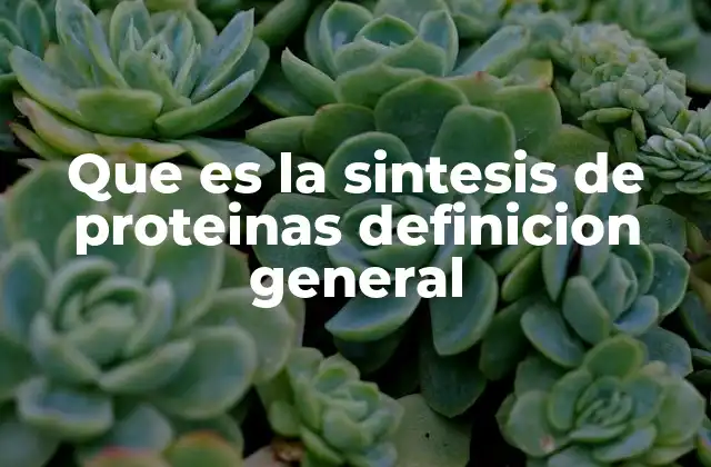 Que es la Sintesis de Proteinas Definicion General