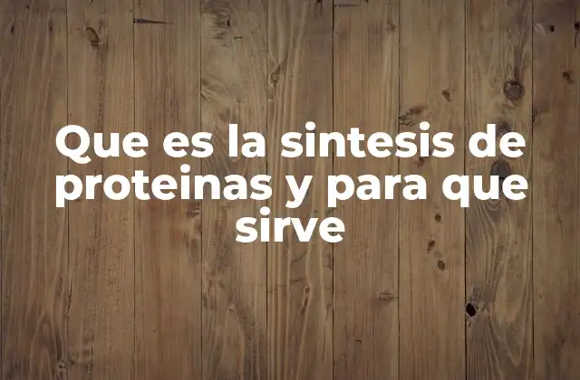 Que es la Sintesis de Proteinas y para que Sirve