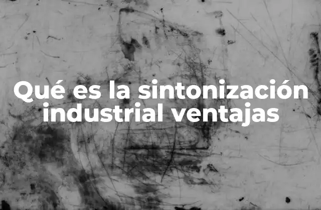 Qué es la Sintonización Industrial Ventajas 2 La importancia de optimizar los controles en la industria
