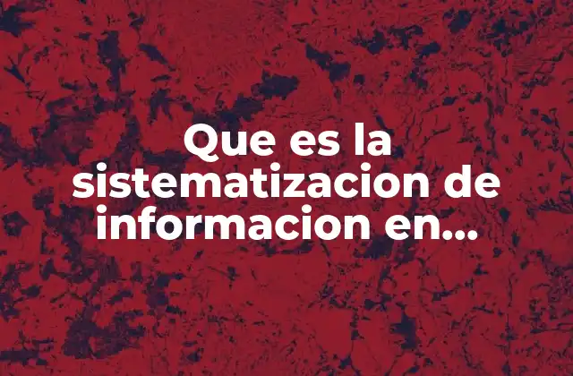 Que es la Sistematizacion de Informacion en Informatica
