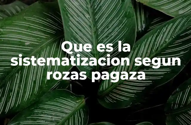 Que es la Sistematizacion Segun Rozas Pagaza