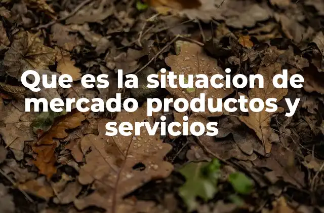 Que es la Situacion de Mercado Productos y Servicios
