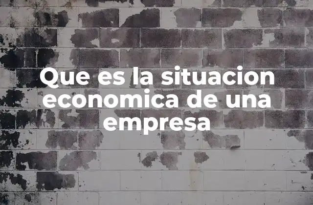 Que es la Situacion Economica de una Empresa