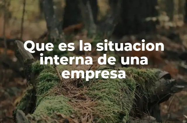 Que es la Situacion Interna de una Empresa 2 El análisis de la empresa desde su núcleo interno