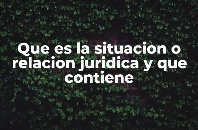 Que es la Situacion o Relacion Juridica y que Contiene
