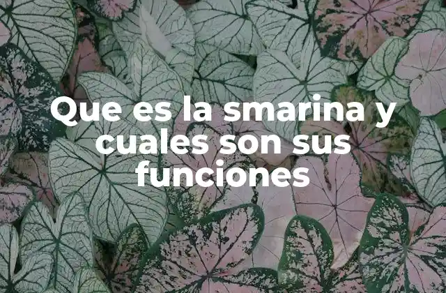 Que es la Smarina y Cuales Son Sus Funciones