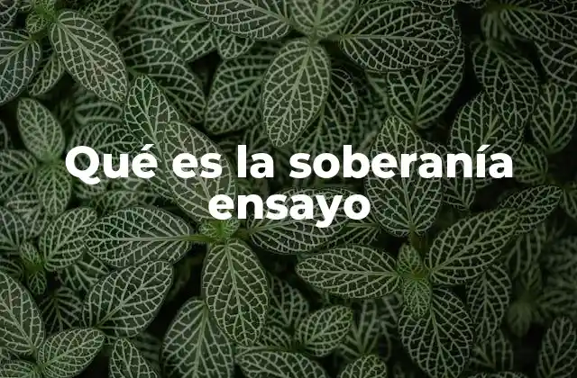 Qué es la Soberanía Ensayo