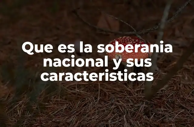 Que es la Soberania Nacional y Sus Caracteristicas 2 La importancia de la soberanía en el orden internacional