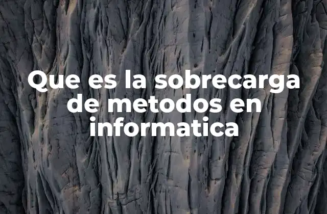 Que es la Sobrecarga de Metodos en Informatica