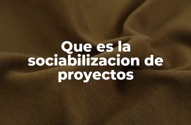 Que es la Sociabilizacion de Proyectos