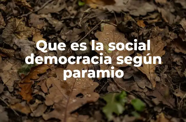 Que es la Social Democracia según Paramio