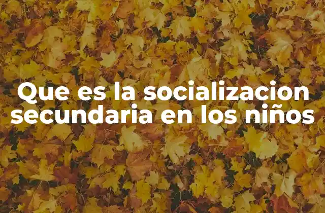 Que es la Socializacion Secundaria en los Niños